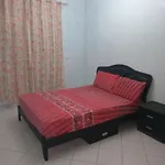 شارع الجيش الملكي أكادير